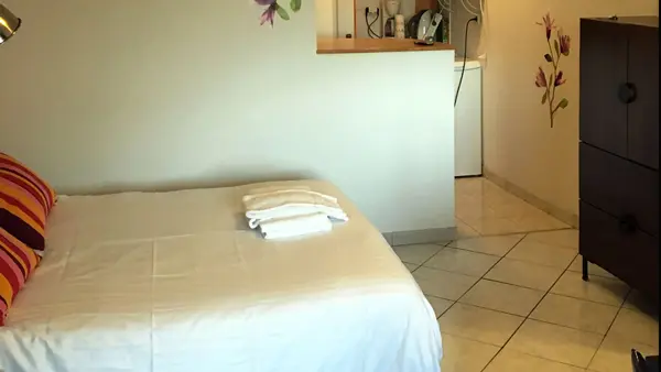 Agapanthes - Fougeres