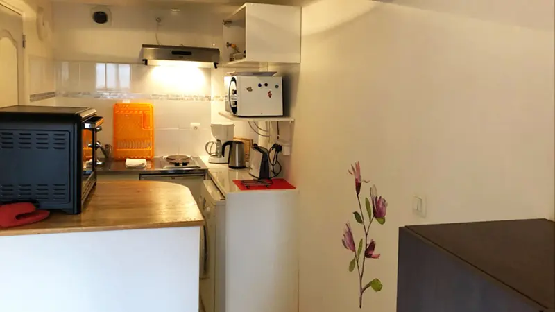 Agapanthes - Fougeres