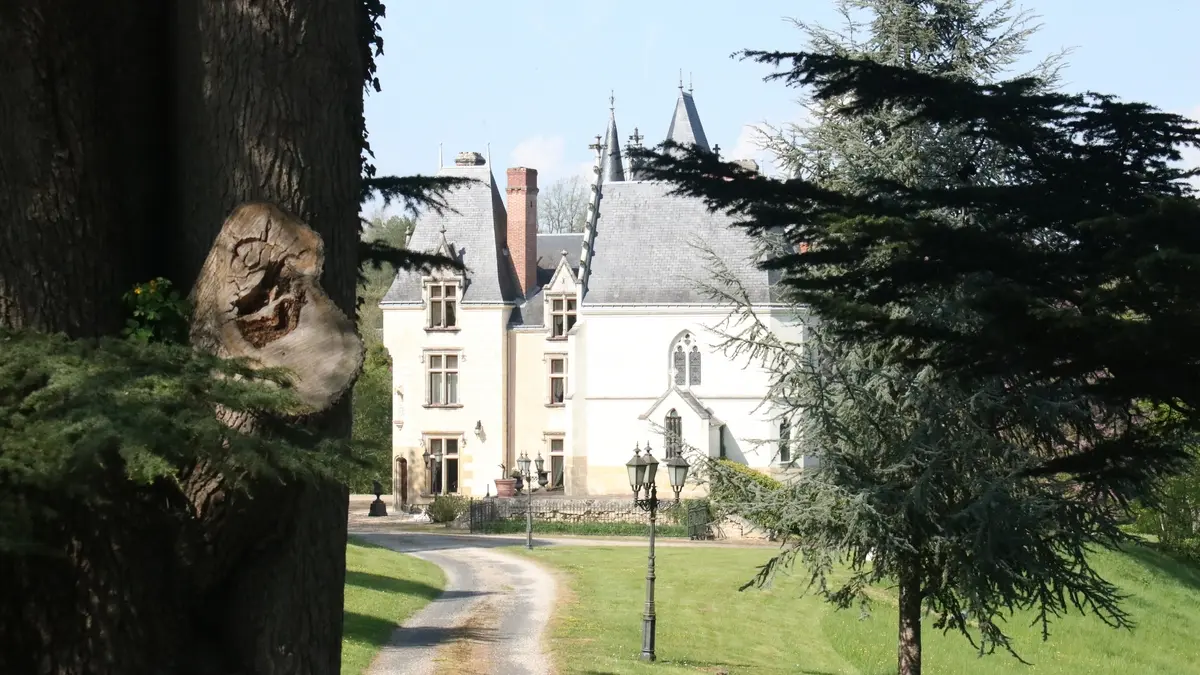 NOYANT DE TOURAINE- CHATEAU DE BROU-Arrivée Chateau