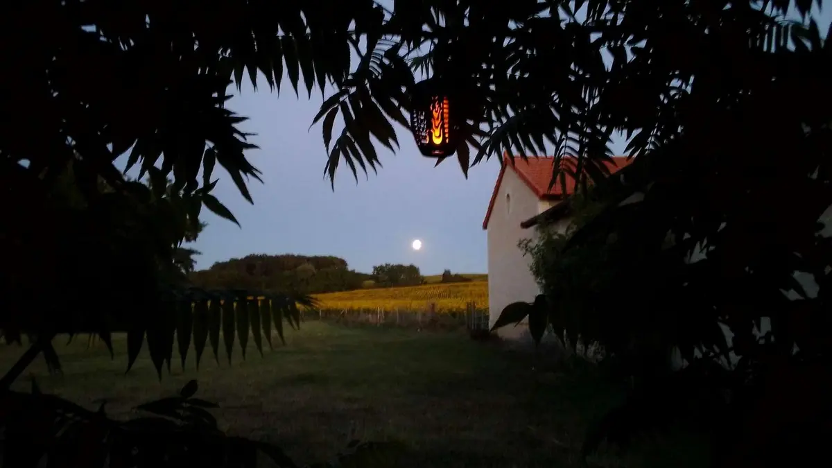 BRAYE-SOUS-FAYE-Au repos des elfes (8)