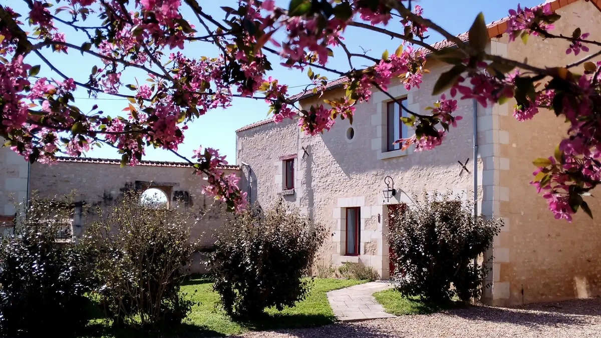 BRAYE-SOUS-FAYE-Au repos des elfes (13)