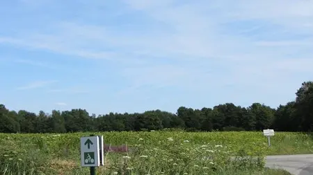 Boucle 13 - La route des moulins