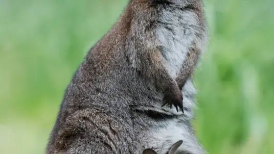 Réserve de la Haute-Touche à Obterre