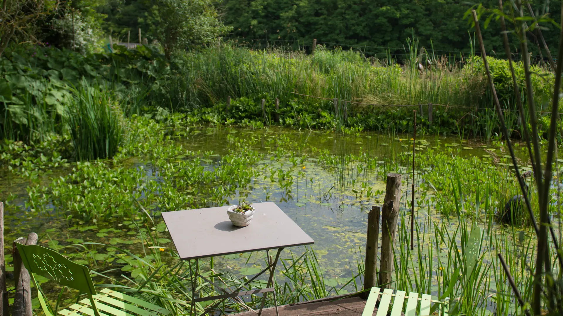CERELLES_Les Jardins de la Boulas_Mathieu Gresteau
