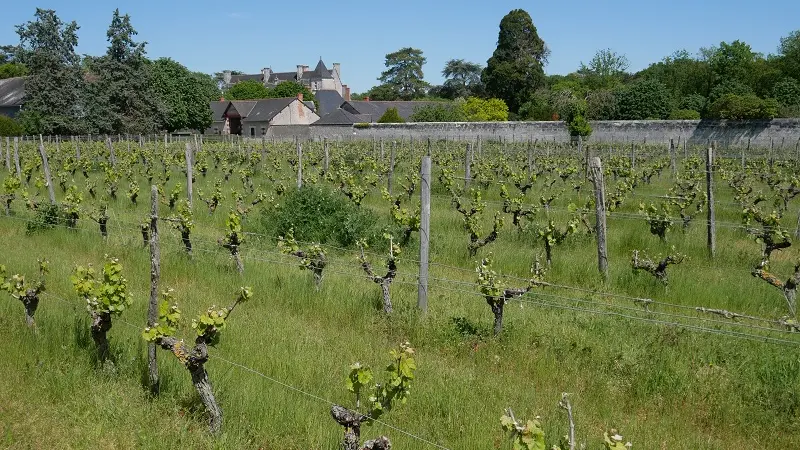 Château de Nitray - Athée-sur-cher