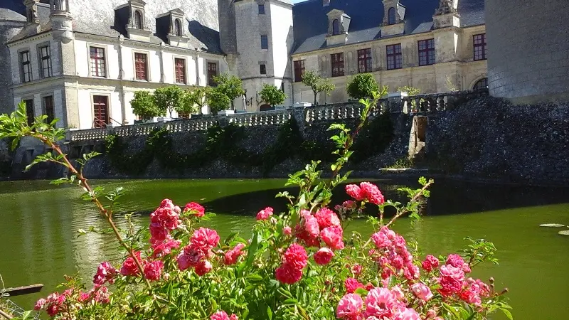 Château de la Motte-Sonzay (6)