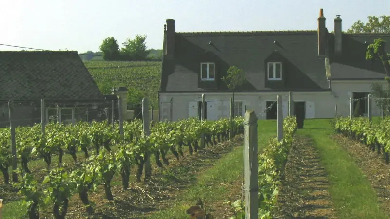ChampalouVy