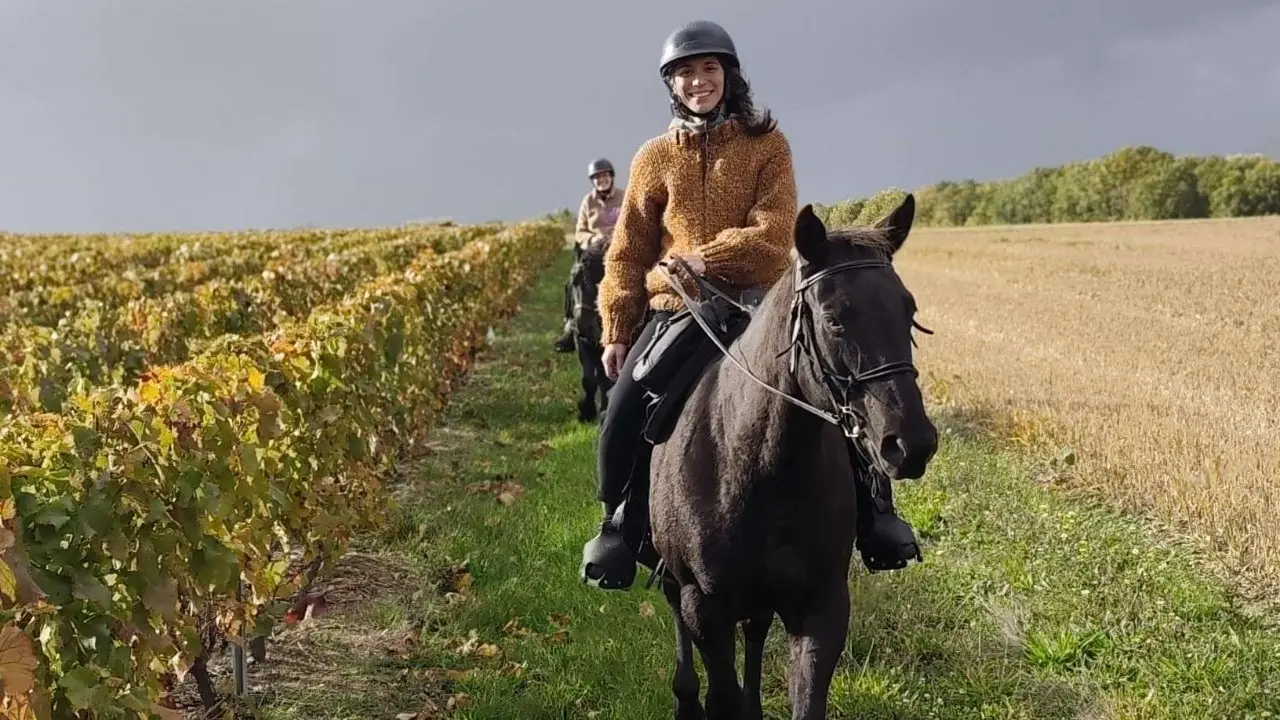 Dans les vignes