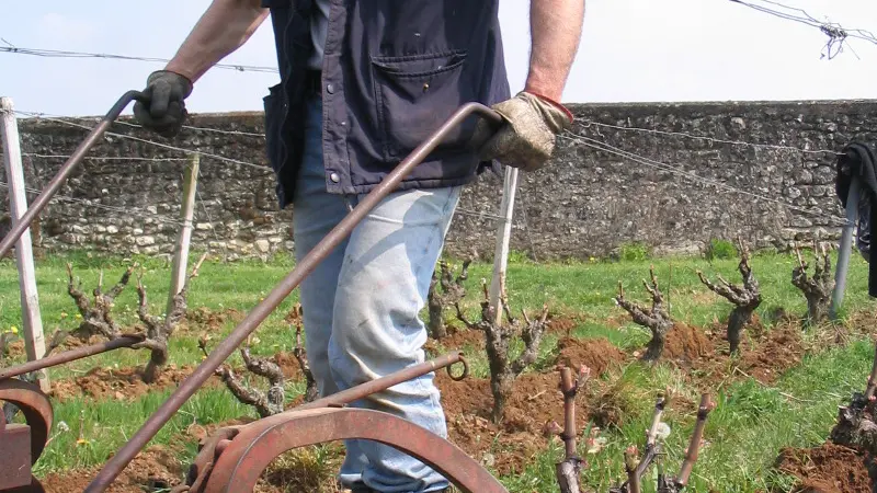 Domaine Champalou