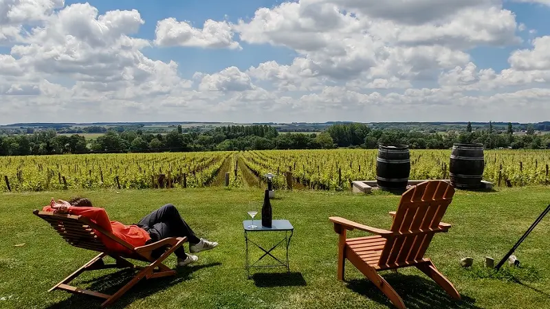 Domaine Grosbois - Panzoult
