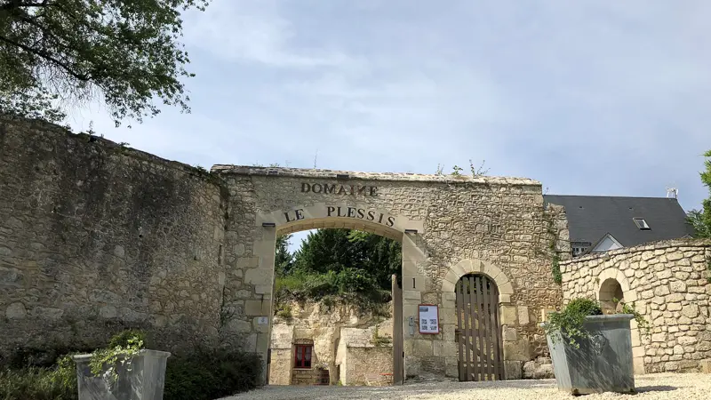 Domaine Plessis Gallu - Cottage Parc