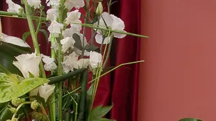 Domaine Plessis Gallu - Cottage Parc