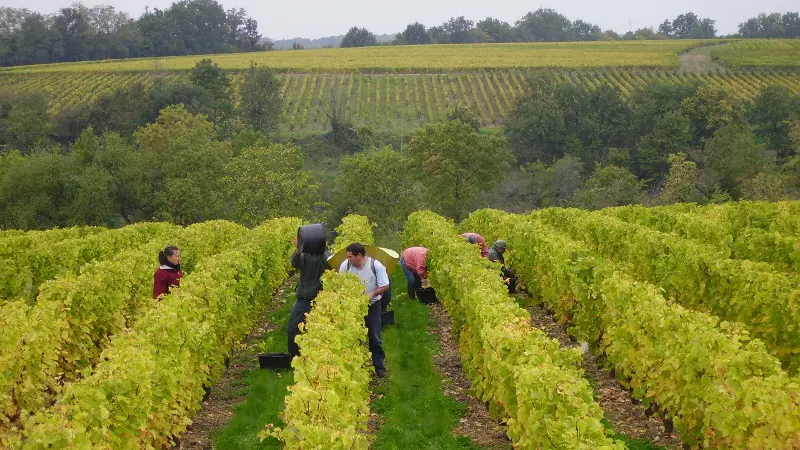 Domaine Sylvain Gaudron