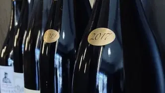 Domaine Sylvain Gaudron vins
