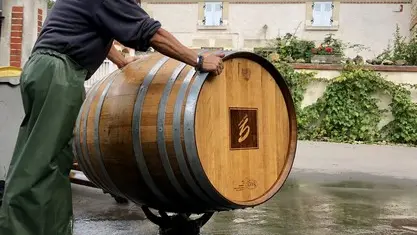 Domaine Sylvain Gaudron vigneron