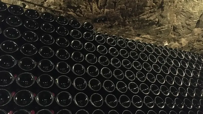 Domaine Sylvain Gaudron cave