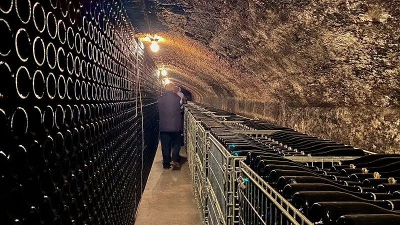 Domaine du Margalleau cave