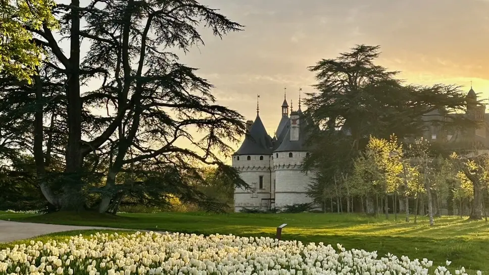 Domaine de Chaumont-sur-Loire_Château vu du Parc historique 3©Eric Sander