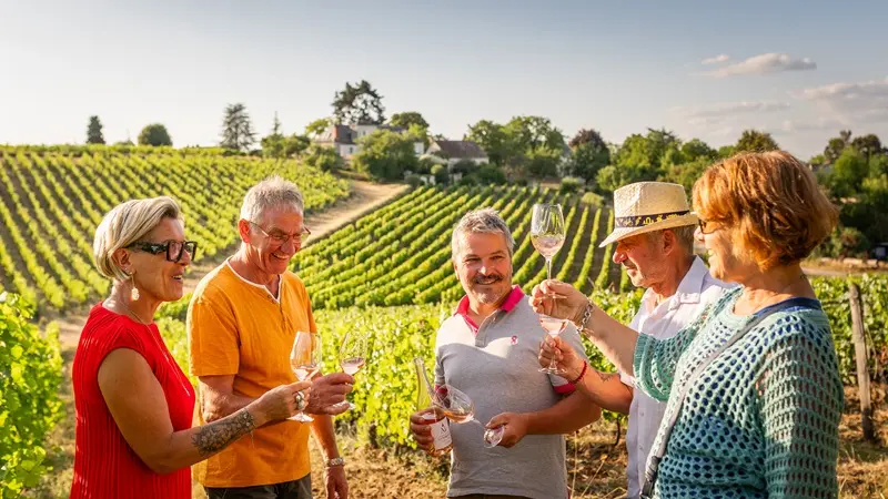 Domaine de la Noblaie - Ligré
