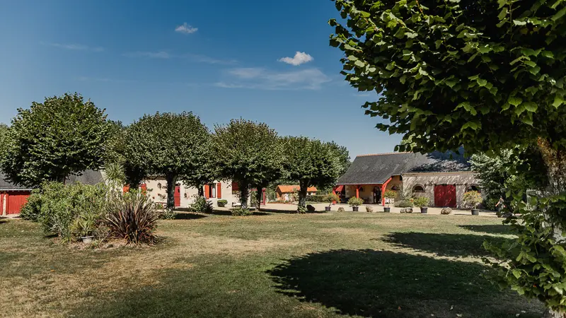Domaine_de_la_Bergerie_Braye-sur-Maulne (3)