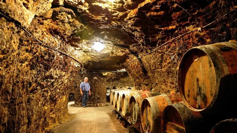 Dozonnerie cave - Chinon