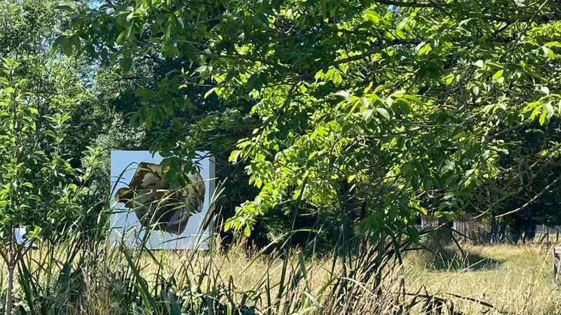 Musée du Véron - Savigny-en-Véron