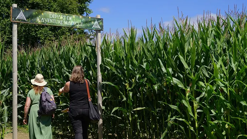 Entrees labyrinthe Magique