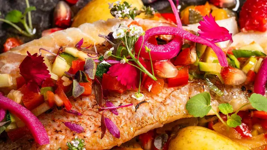 Focus sur notre poisson du moment