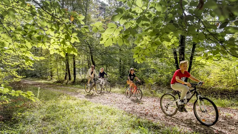 Forêt domaniale de Loches-cyclo-loches-valdeloire