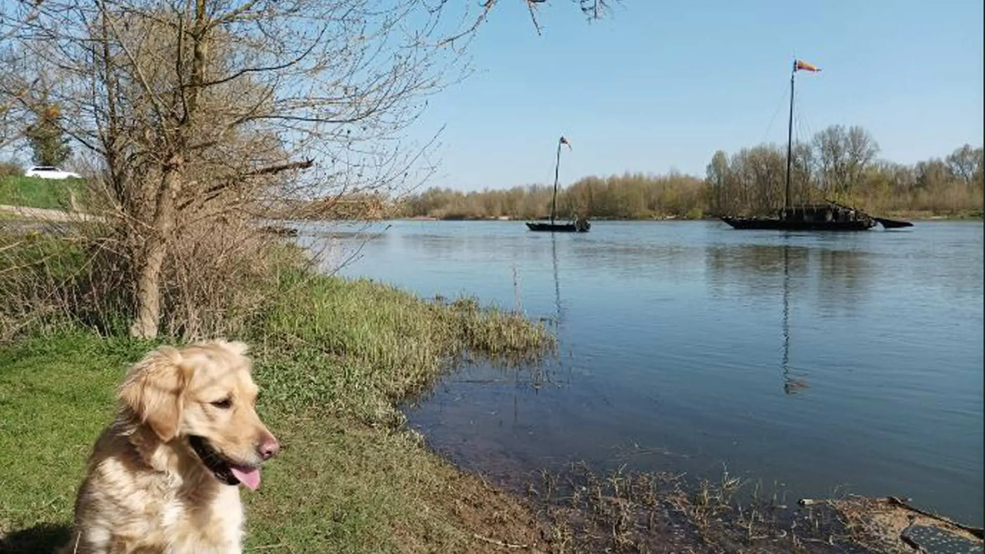 Flower-Camping-Les-Granges_Crédits-Bénédicte_Fin-31122028-(1)