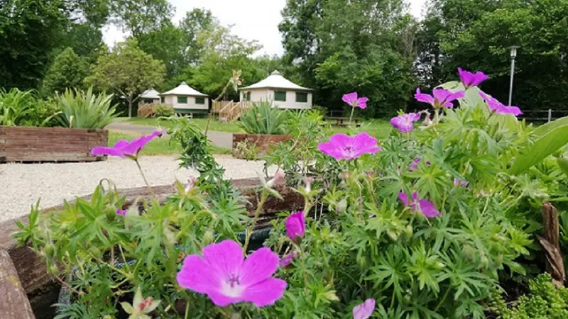 Camping la Fritillaire