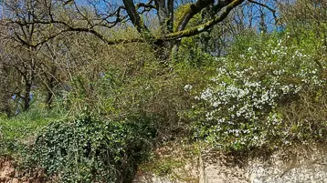 Gîte les Huttières - Cravant-les-Coteaux
