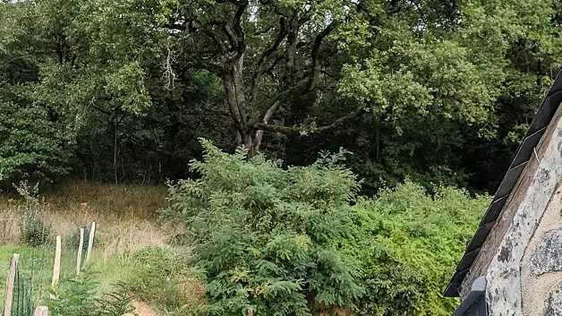 Gîte les Huttières - Cravant-les-Coteaux