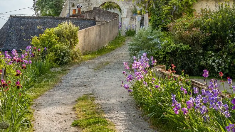 Gites de la Rochère - Le 161