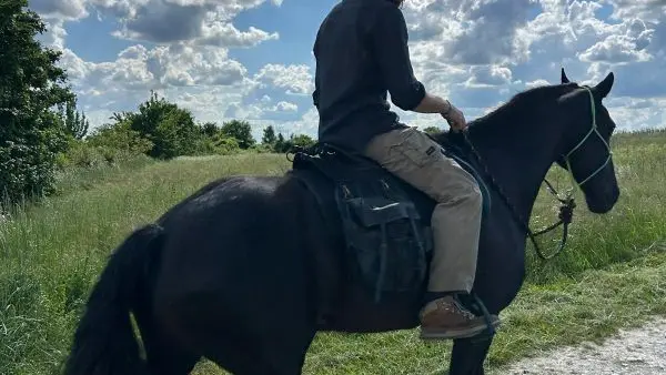 Horse journey - Arthur et Quebrada - Saint-Martin-le-Beau