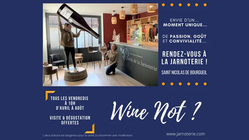 Vignoble de la Jarnoterie - Saint-Nicolas-de-Bourgueil