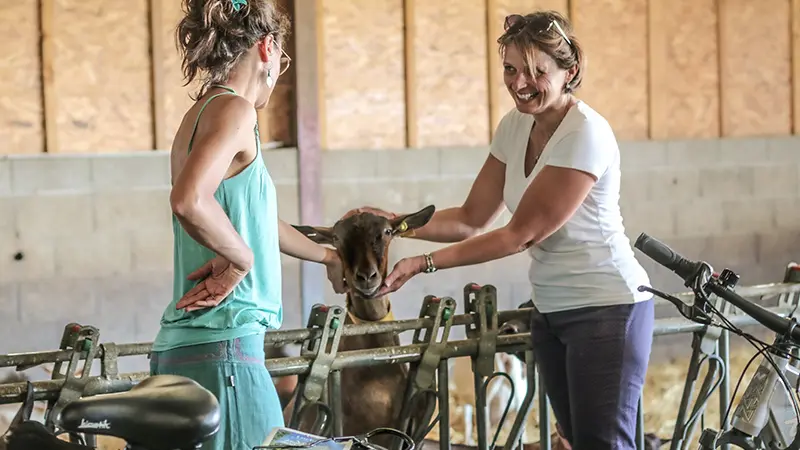 Liaison Vélo La Tangente Gourmande - Fromagerie Le Cabras à Dolus