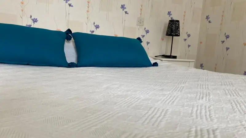 Gite La Salamandre Mosnes