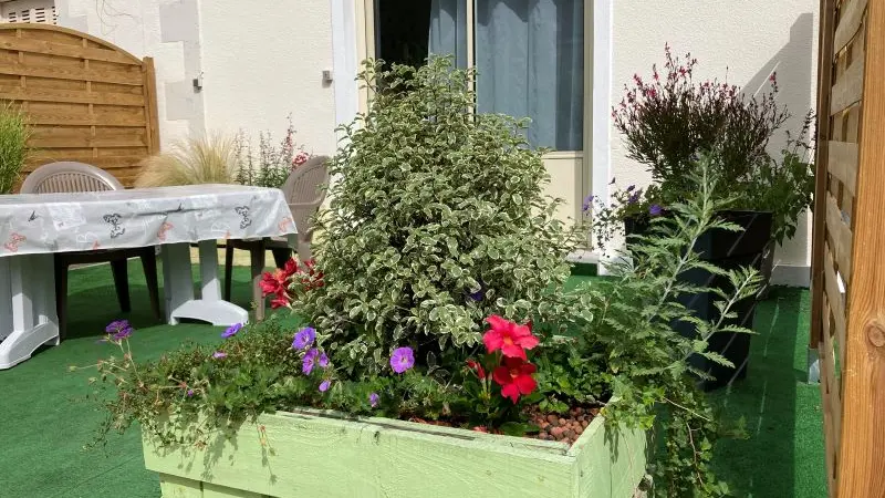 Gite La Salamandre Mosnes