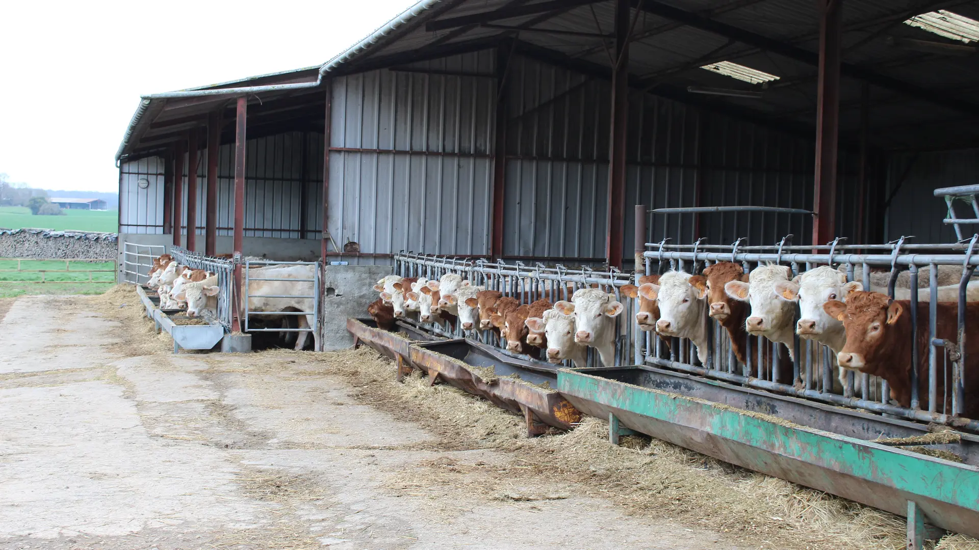 Ferme de Naudin Pascal