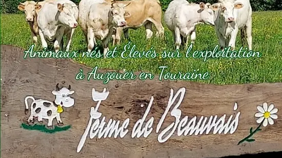 Image de présentation