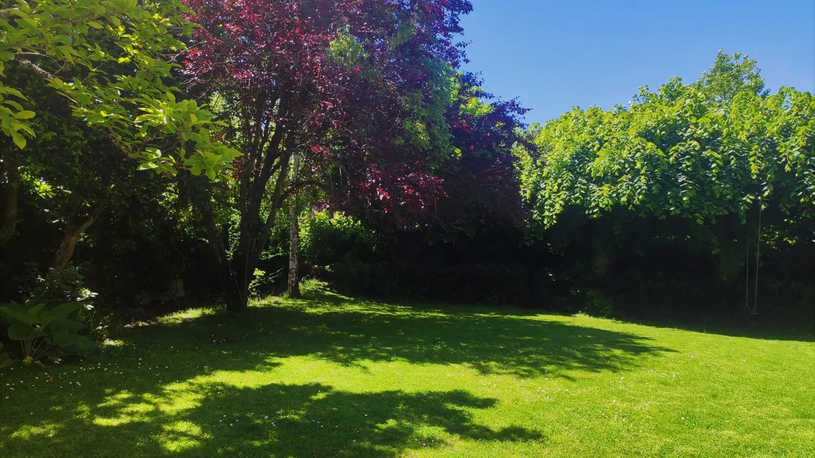 Jardin