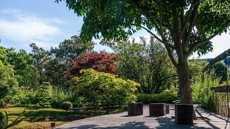 Sentier du Plessis au Prieuré - Jardin botanique de Tours