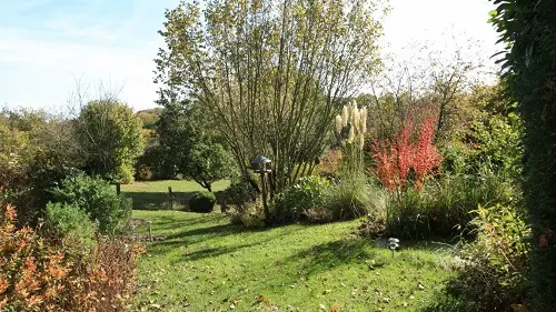 Jardin soleil automne