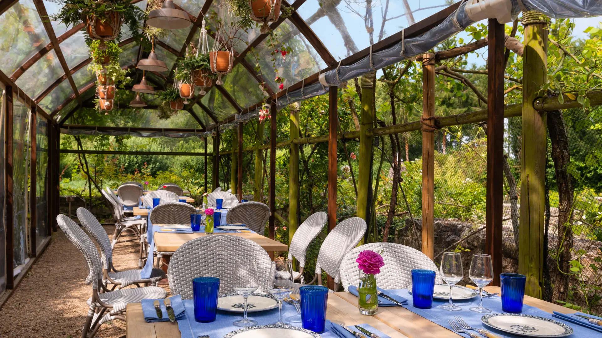 JardinSecret@David-Emmanuel COHEN_4