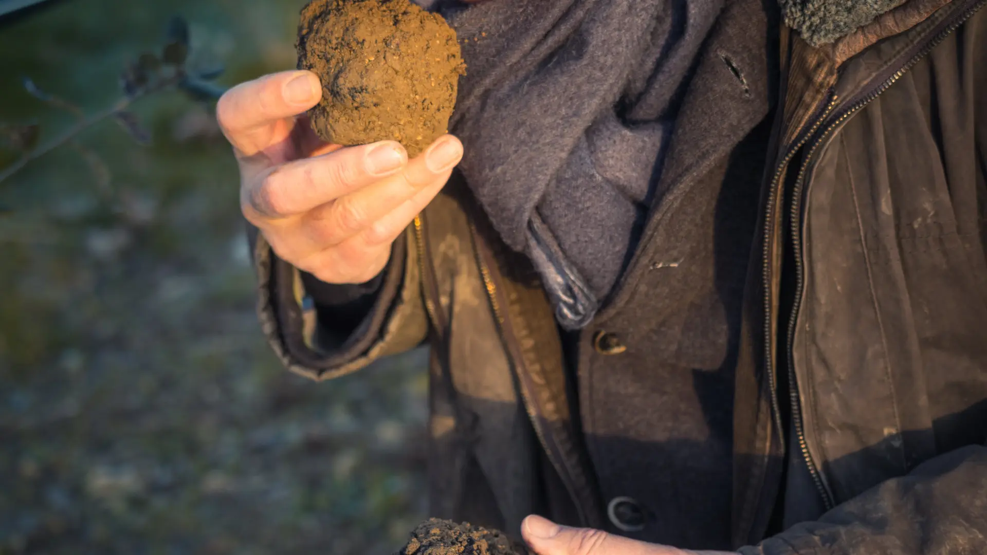 Académie de la Trauffe - Cavage