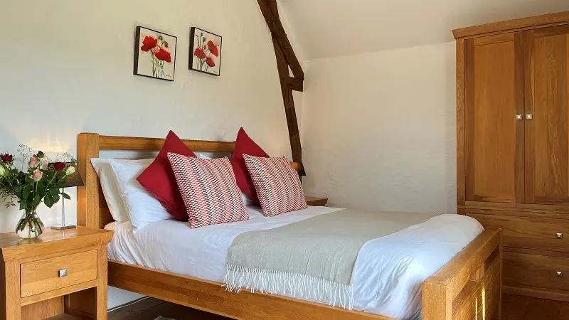 La colombe 1