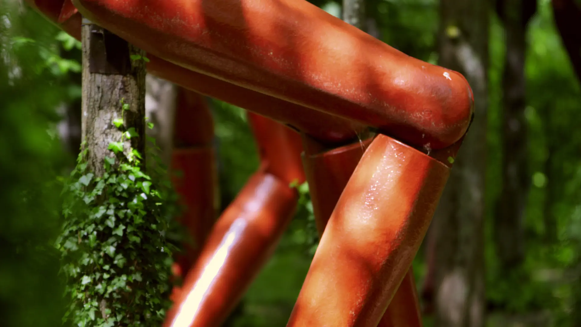 La foret qui courtBasserode©chateaudurIvaujpg