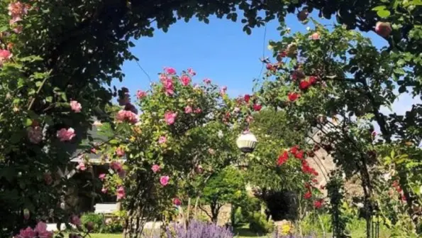 Le Clos du Chatonnay à Savonnières