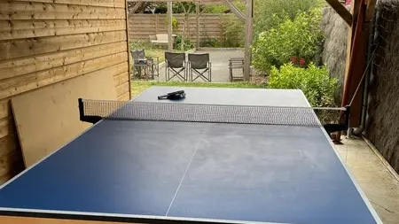 Table de tennis de table